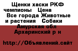 Щенки хаски РКФ чемпионы › Цена ­ 90 000 - Все города Животные и растения » Собаки   . Амурская обл.,Архаринский р-н